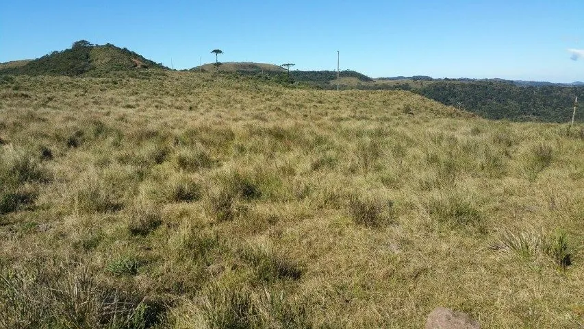 Fazenda à venda de 658 ha em Urubici, SC, Brasil