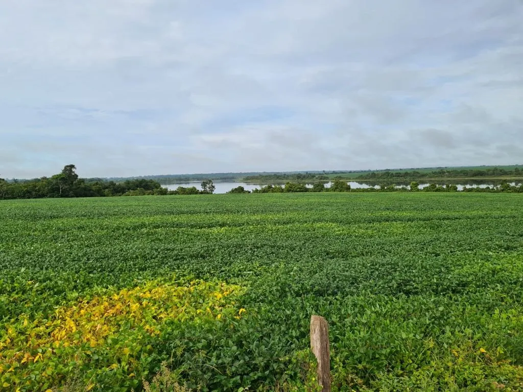 Fazenda à venda de 17.125 ha em Araguaína, TO, Brasil