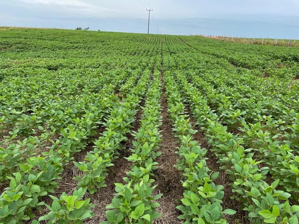Fazenda à venda de 17.125 ha em Araguaína, TO, Brasil