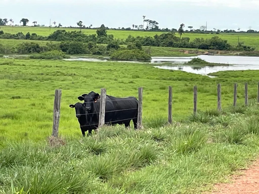 Fazenda à venda de 17.125 ha em Araguaína, TO, Brasil