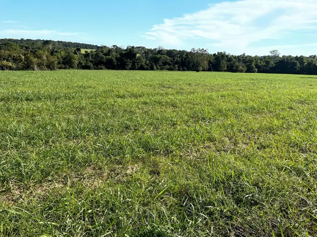 Fazenda à venda de 17.125 ha em Araguaína, TO, Brasil