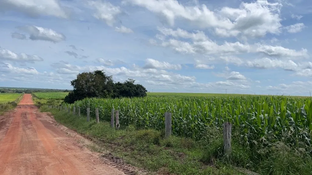 Fazenda à venda de 17.125 ha em Araguaína, TO, Brasil