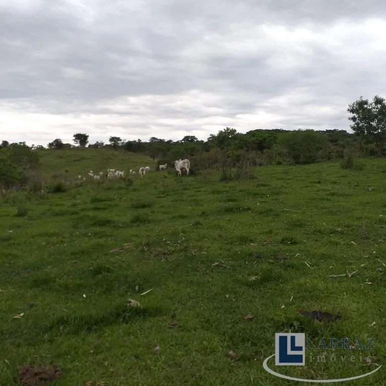 Fazenda à venda de 73 ha em Pirajuí, SP, Brasil