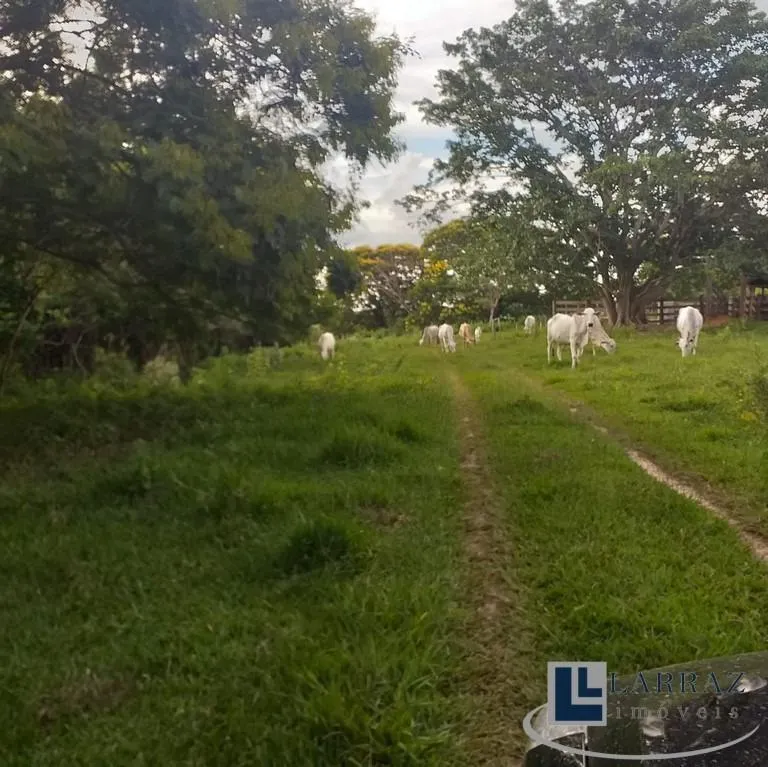 Fazenda à venda de 73 ha em Pirajuí, SP, Brasil