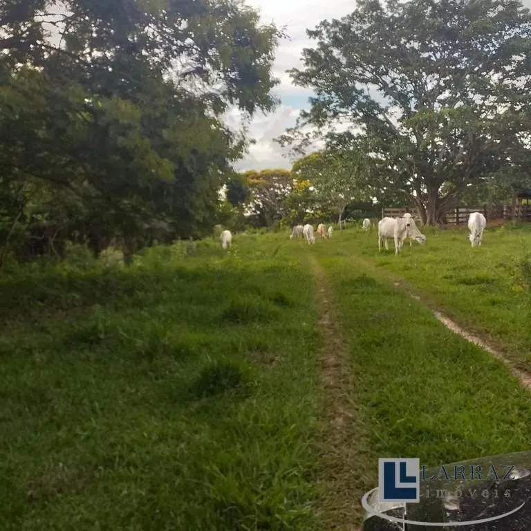 Fazenda à venda de 73 ha em Pirajuí, SP, Brasil