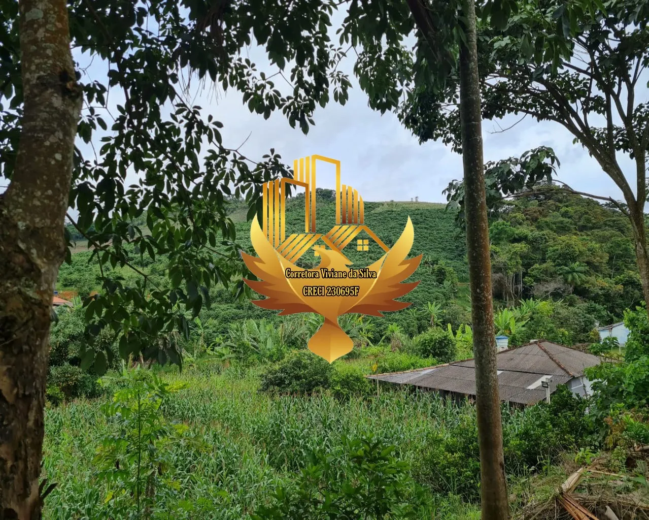 Country home for sale of 1 acres in Martins Soares, MG, Brazil