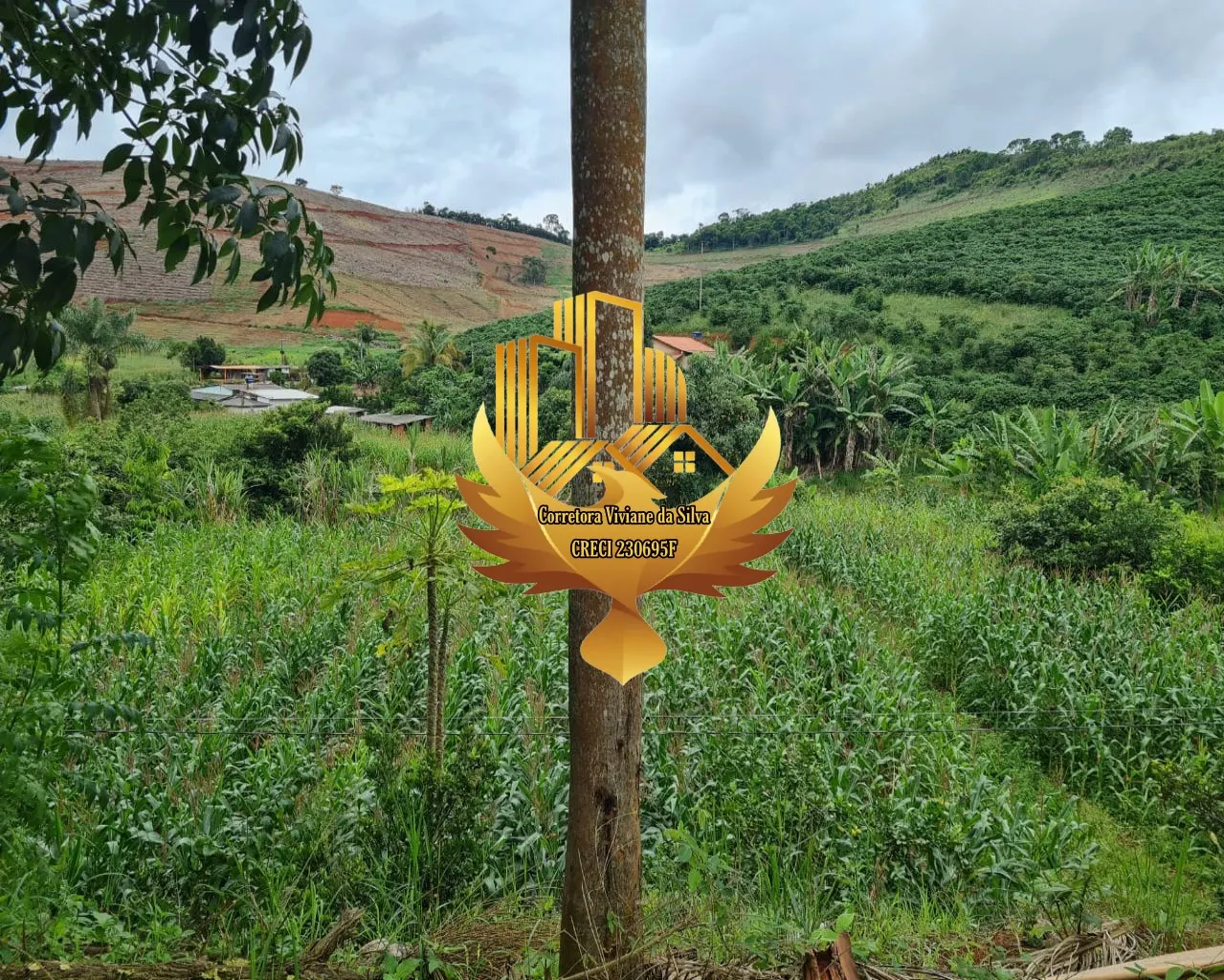 Country home for sale of 1 acres in Martins Soares, MG, Brazil