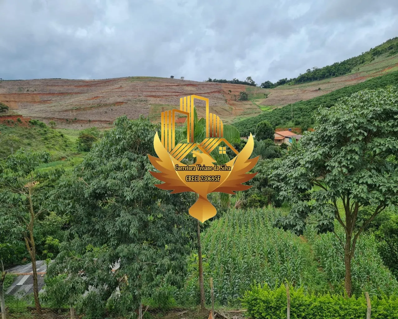 Country home for sale of 1 acres in Martins Soares, MG, Brazil