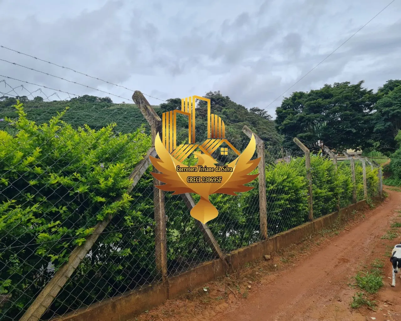 Country home for sale of 1 acres in Martins Soares, MG, Brazil