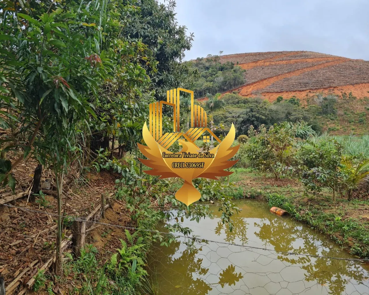 Country home for sale of 1 acres in Martins Soares, MG, Brazil