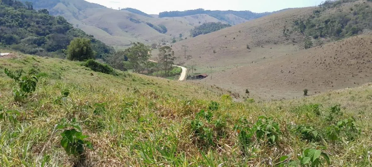 Sítio à venda de 4 ha em Paraibuna, SP, Brasil