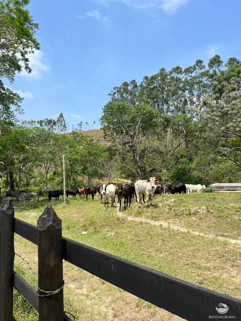 Farm for sale of 358 acres in Lorena, SP, Brazil
