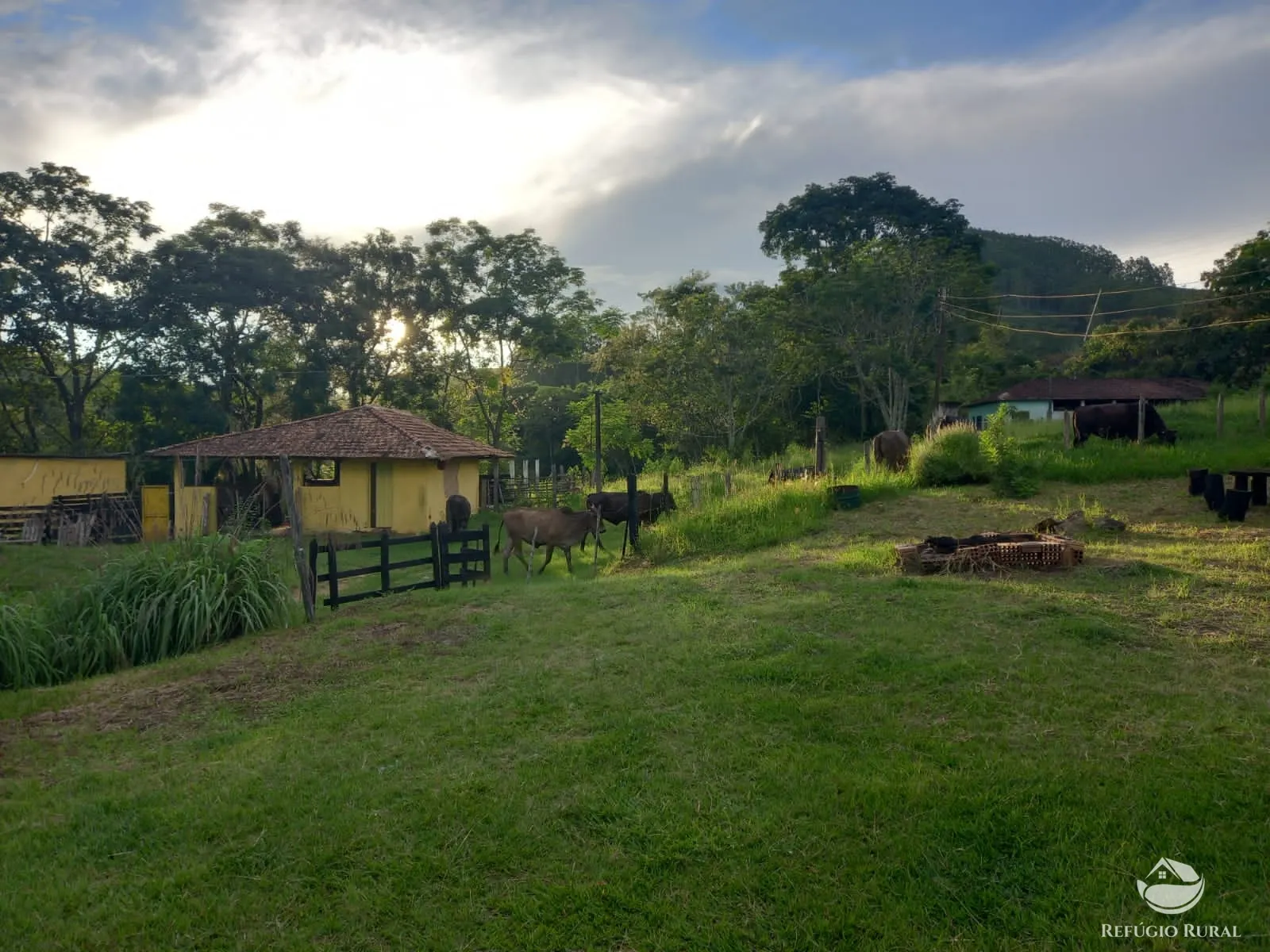 Farm for sale of 358 acres in Lorena, SP, Brazil