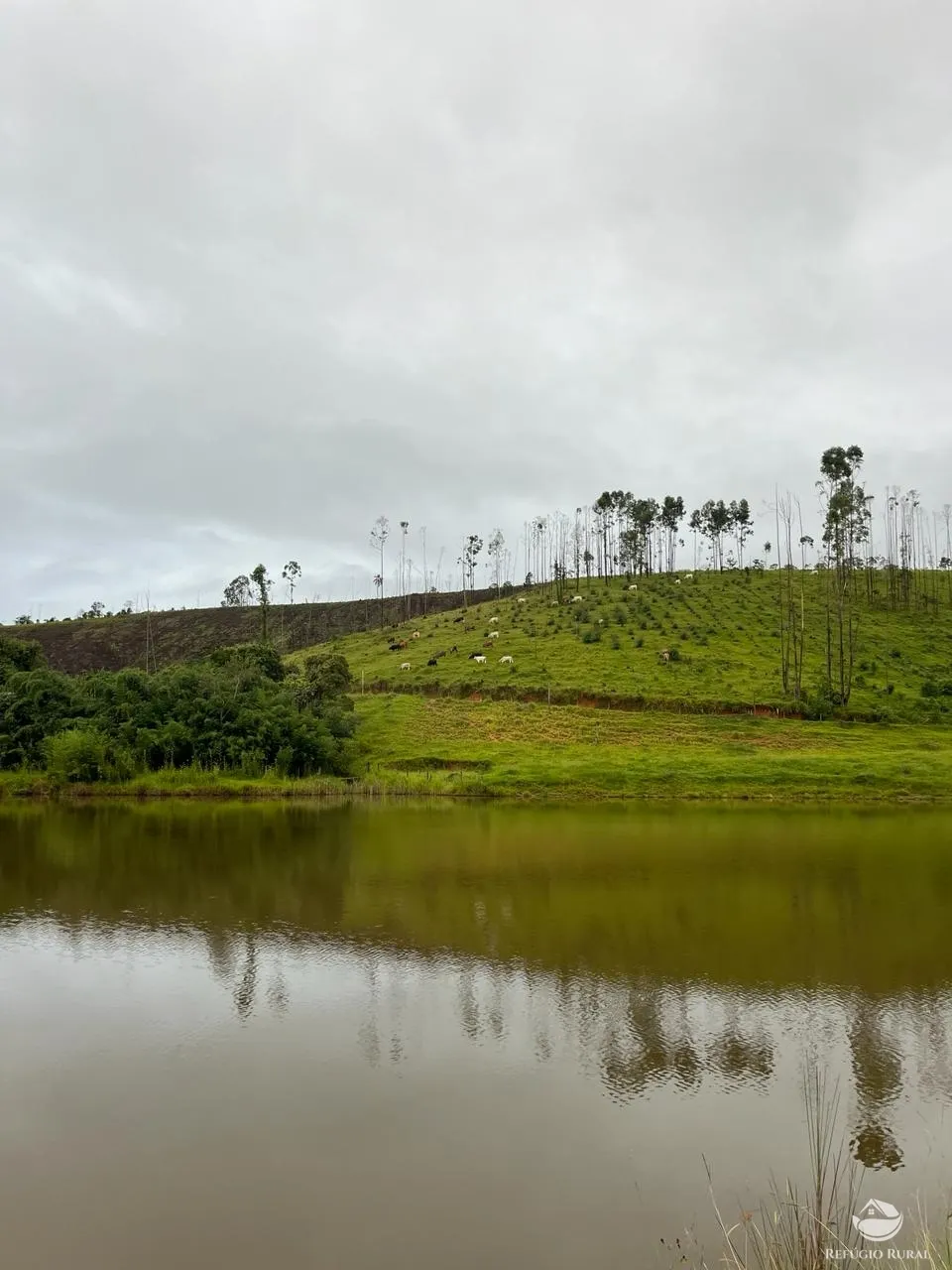 Farm for sale of 358 acres in Lorena, SP, Brazil