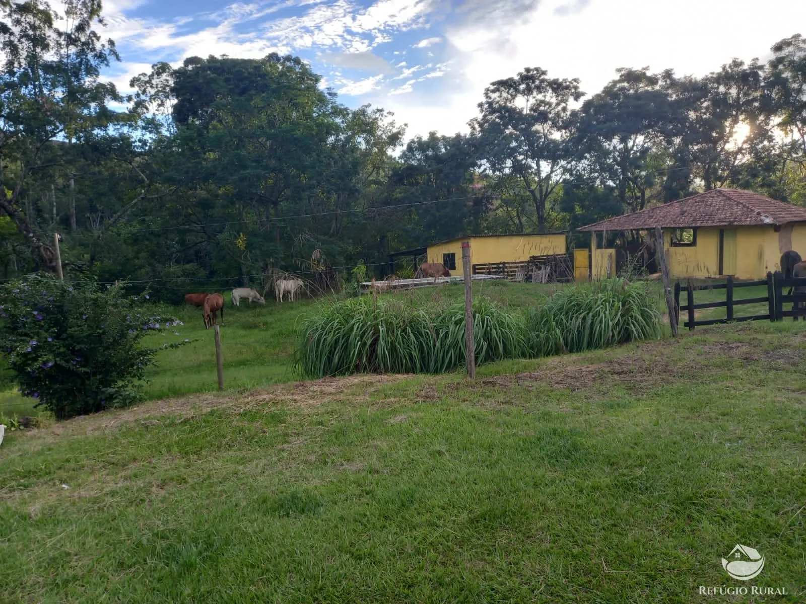Farm for sale of 358 acres in Lorena, SP, Brazil