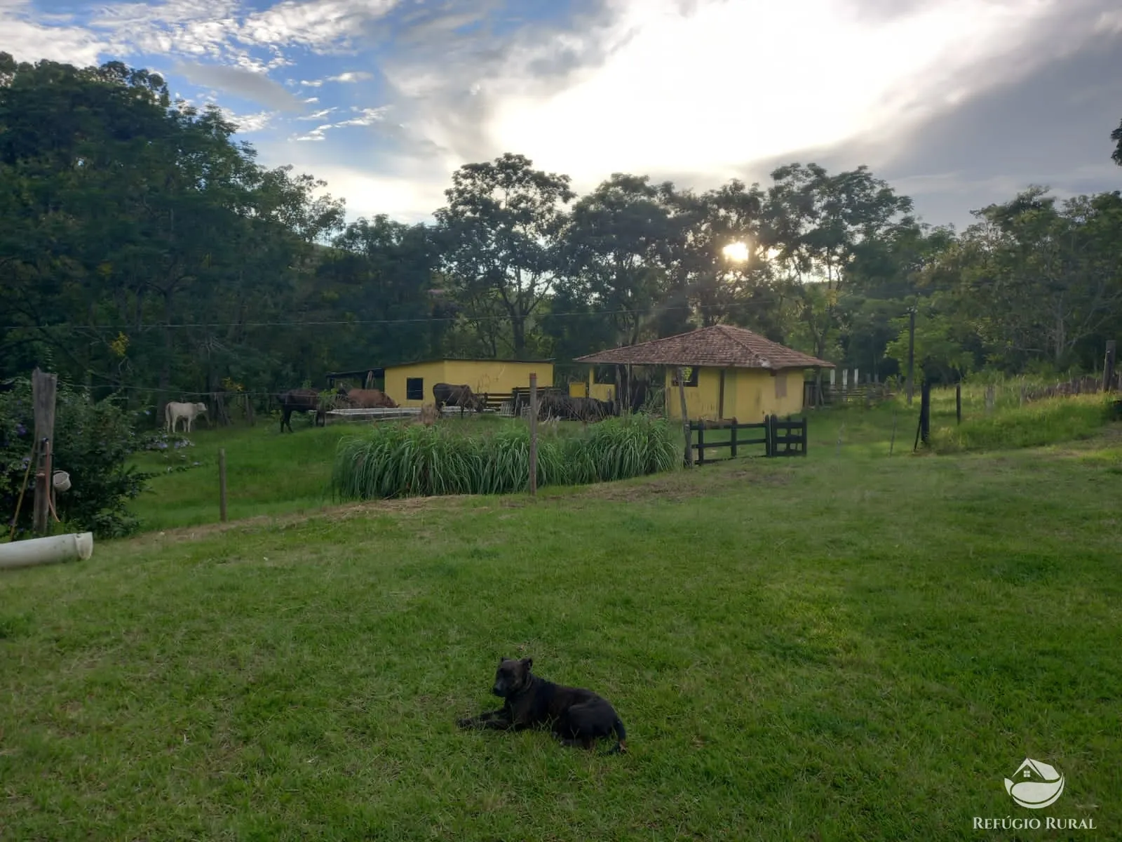Farm for sale of 358 acres in Lorena, SP, Brazil