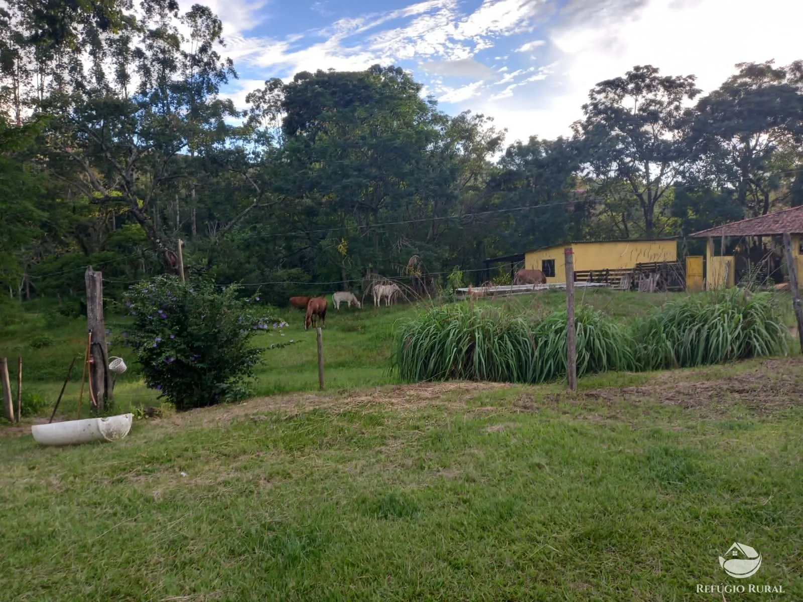 Farm for sale of 358 acres in Lorena, SP, Brazil