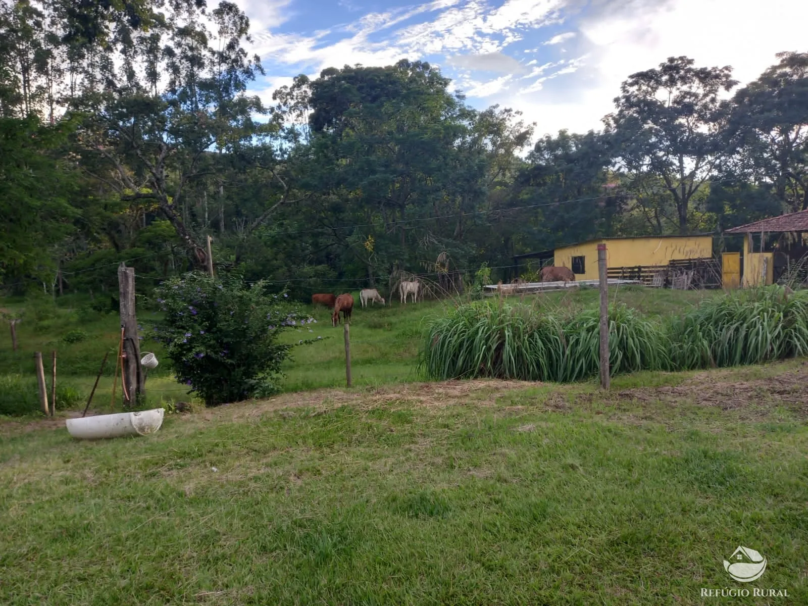 Farm for sale of 358 acres in Lorena, SP, Brazil