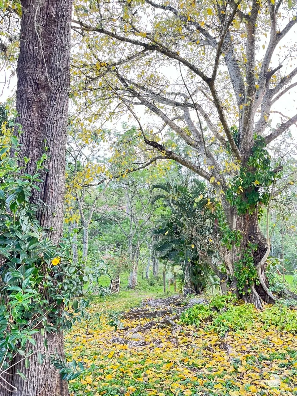 Farm for sale of 358 acres in Lorena, SP, Brazil