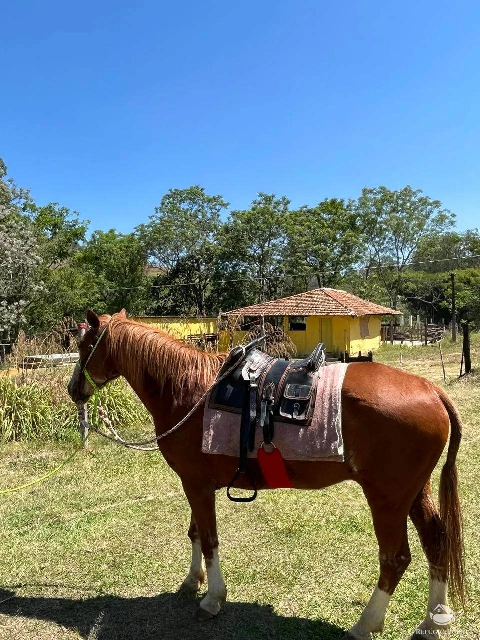 Farm for sale of 358 acres in Lorena, SP, Brazil