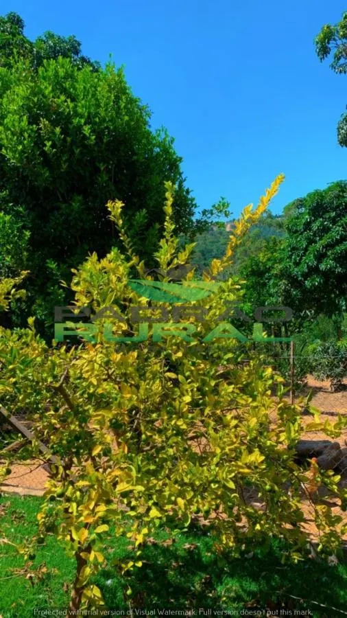 Country home for sale of 2 acres in Mairinque, SP, Brazil