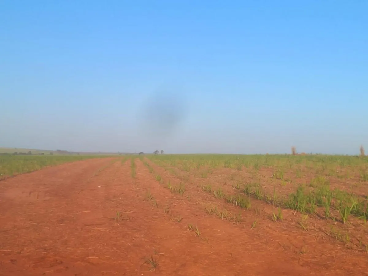 Fazenda à venda de 415 ha em Araçatuba, SP, Brasil