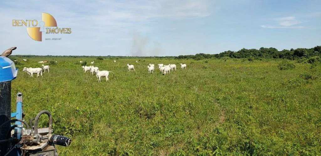 Fazenda à venda de 3.320 ha em Poconé, MT, Brasil