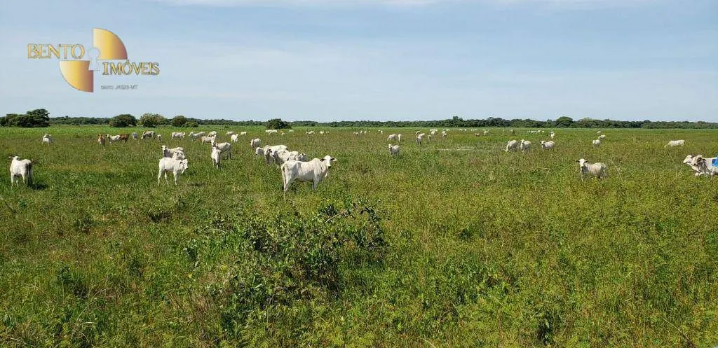 Fazenda à venda de 3.320 ha em Poconé, MT, Brasil