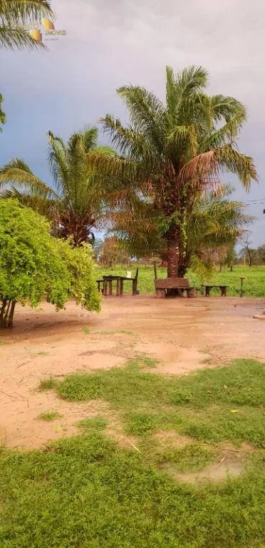 Fazenda à venda de 3.320 ha em Poconé, MT, Brasil