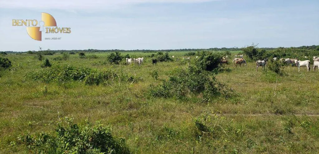 Fazenda à venda de 3.320 ha em Poconé, MT, Brasil