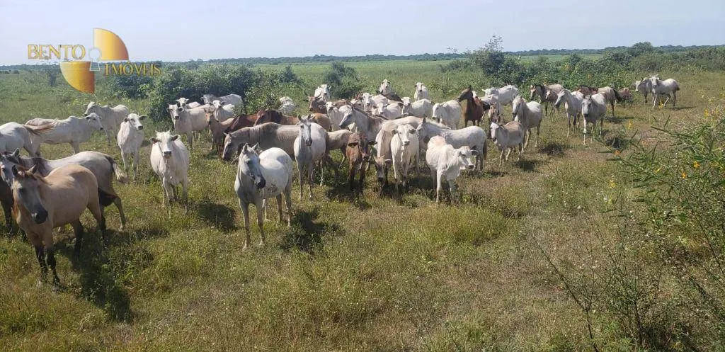Fazenda à venda de 3.320 ha em Poconé, MT, Brasil