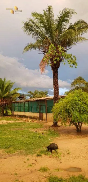 Fazenda à venda de 3.320 ha em Poconé, MT, Brasil
