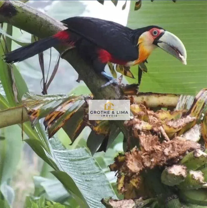 Pousada à venda de 1.700 m² em Ilhabela, SP, Brasil