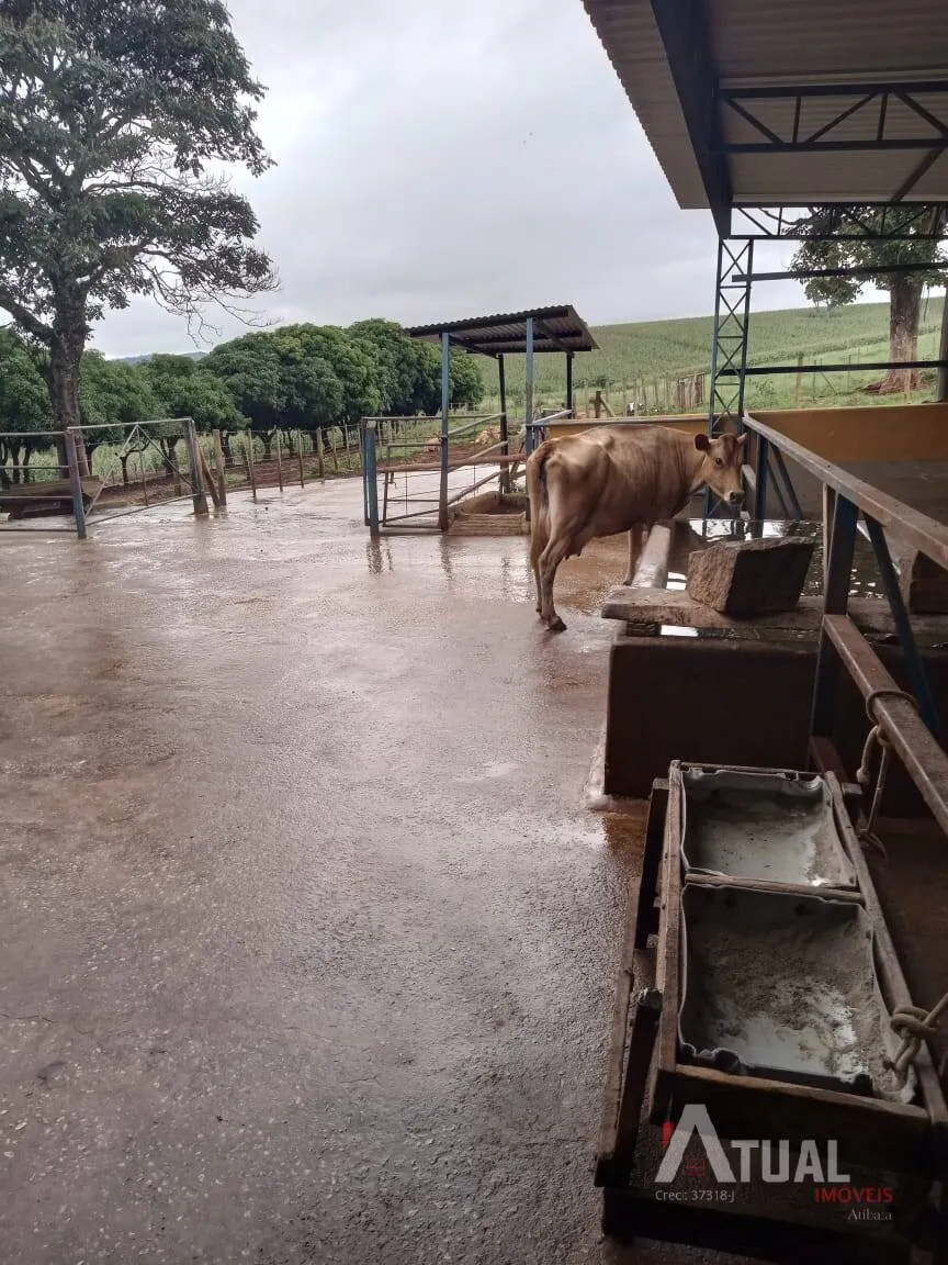 Country home for sale of 800 m² in Pouso Alegre, MG, Brazil