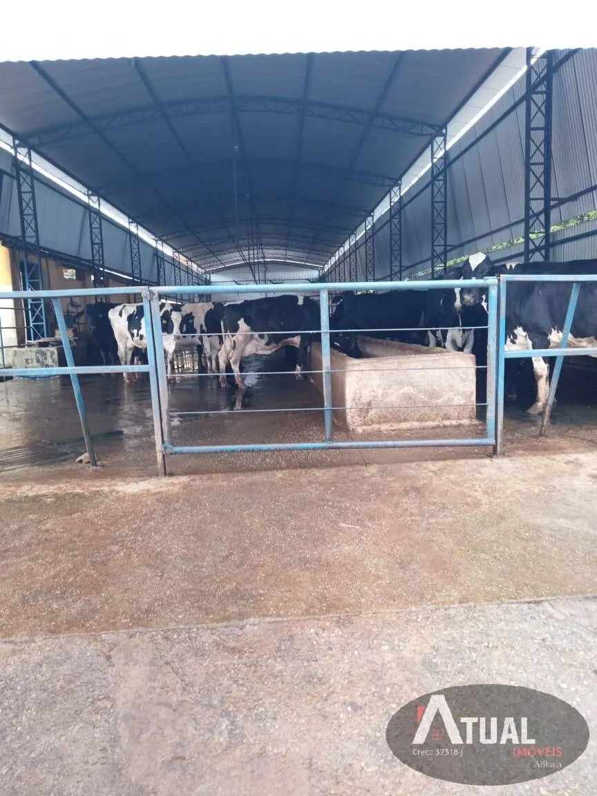 Chácara à venda de 800 m² em Pouso Alegre, MG, Brasil