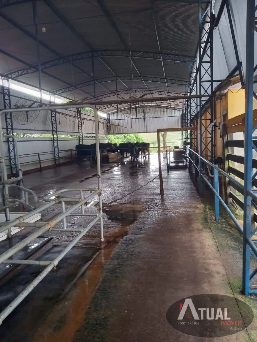 Country home for sale of 800 m² in Pouso Alegre, MG, Brazil
