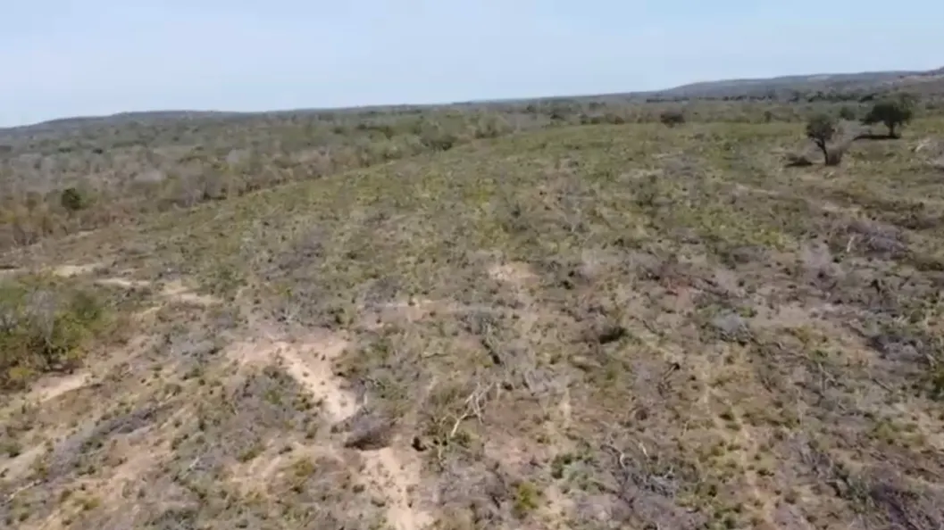 Farm for sale of 892 acres