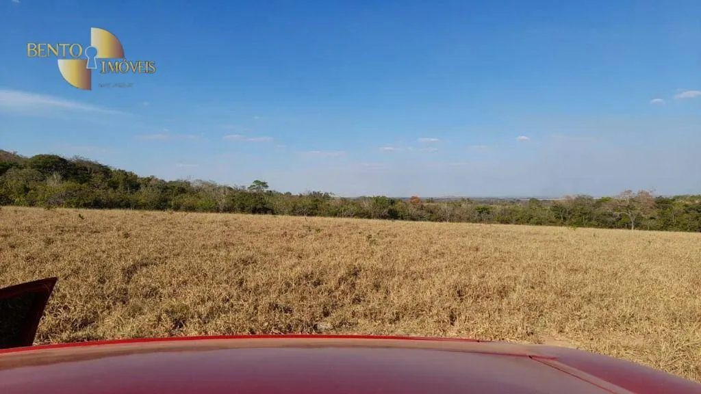 Fazenda à venda de 1.140 ha em Paranatinga, MT, Brasil
