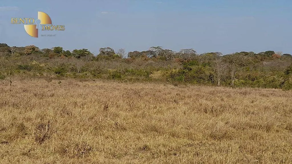 Fazenda à venda de 1.140 ha em Paranatinga, MT, Brasil