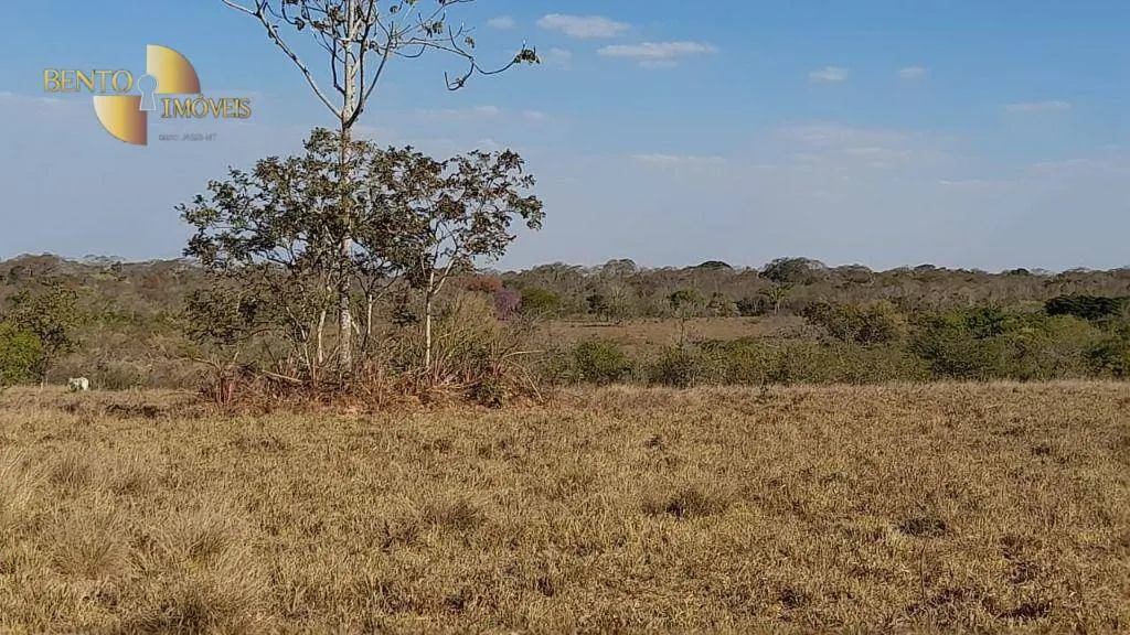 Fazenda à venda de 1.140 ha em Paranatinga, MT, Brasil