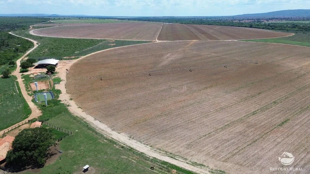 Farm for sale of 1,384 acres in João Pinheiro, MG, Brazil