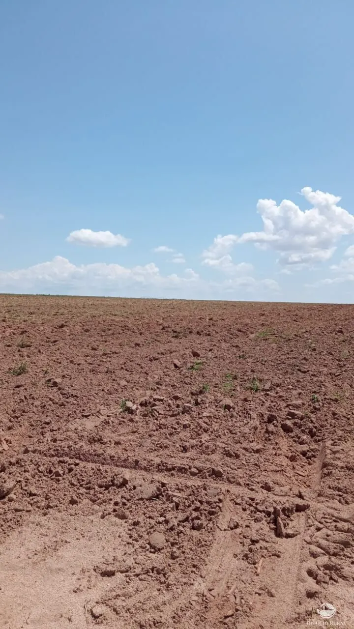 Farm for sale of 1,384 acres in João Pinheiro, MG, Brazil