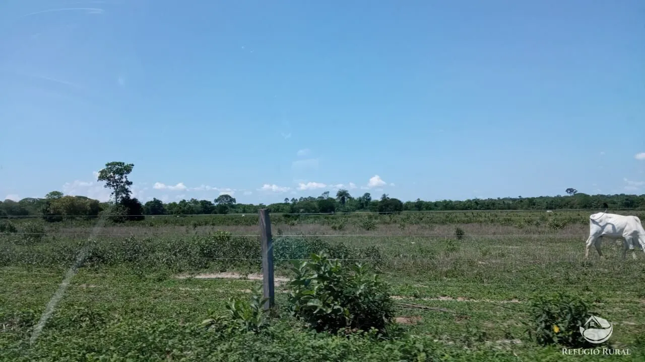 Farm for sale of 1,384 acres in João Pinheiro, MG, Brazil