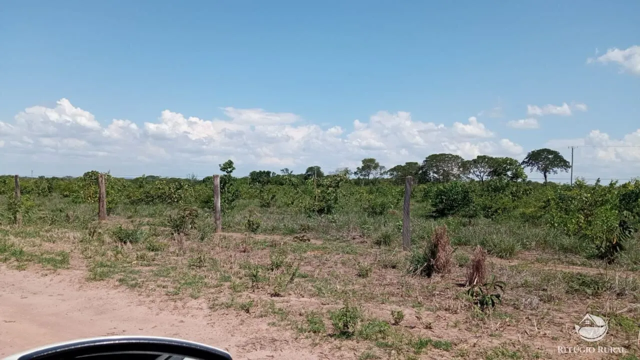 Farm for sale of 1,384 acres in João Pinheiro, MG, Brazil
