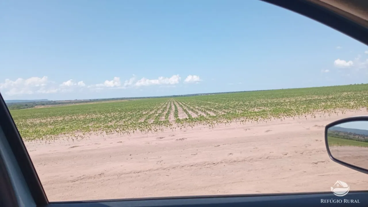 Farm for sale of 1,384 acres in João Pinheiro, MG, Brazil