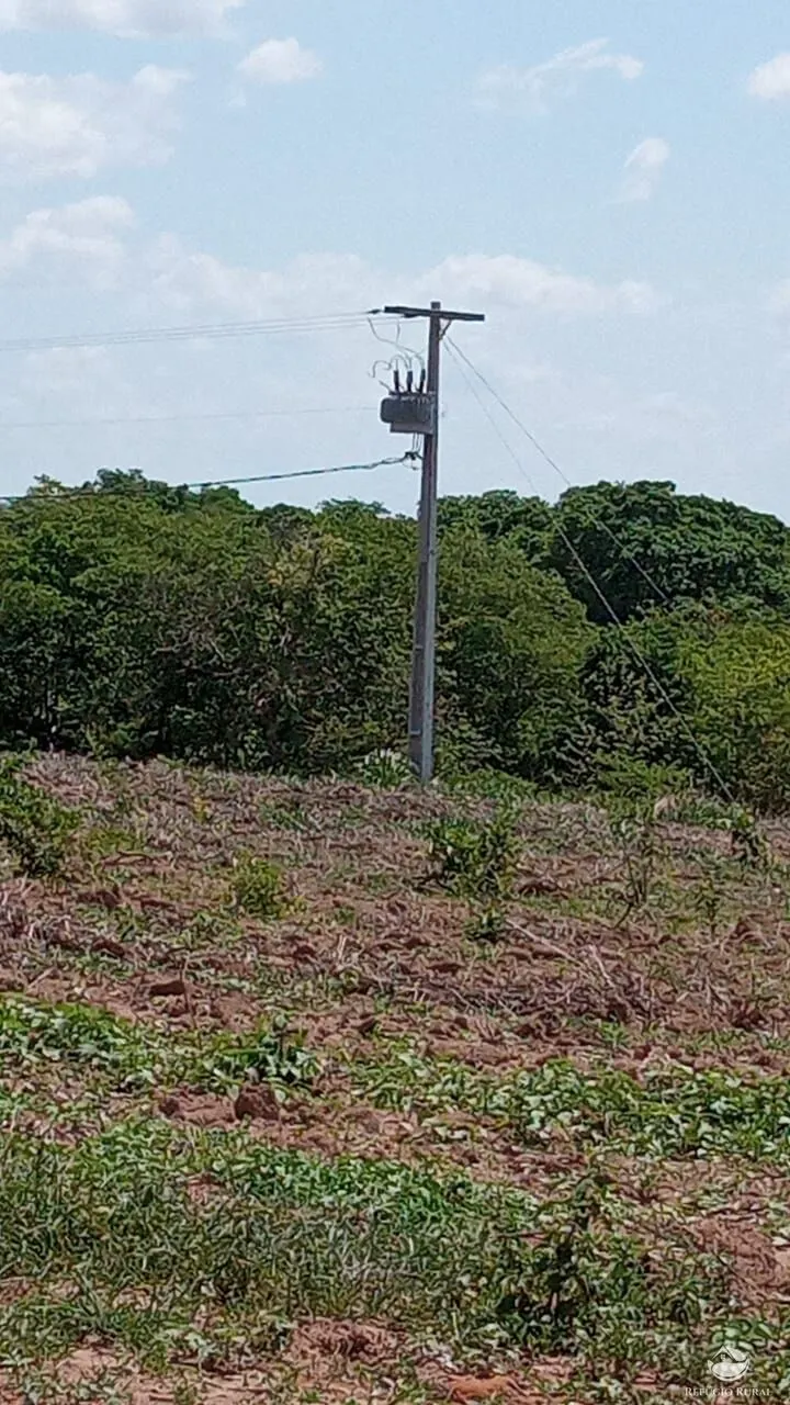 Farm for sale of 1,384 acres in João Pinheiro, MG, Brazil