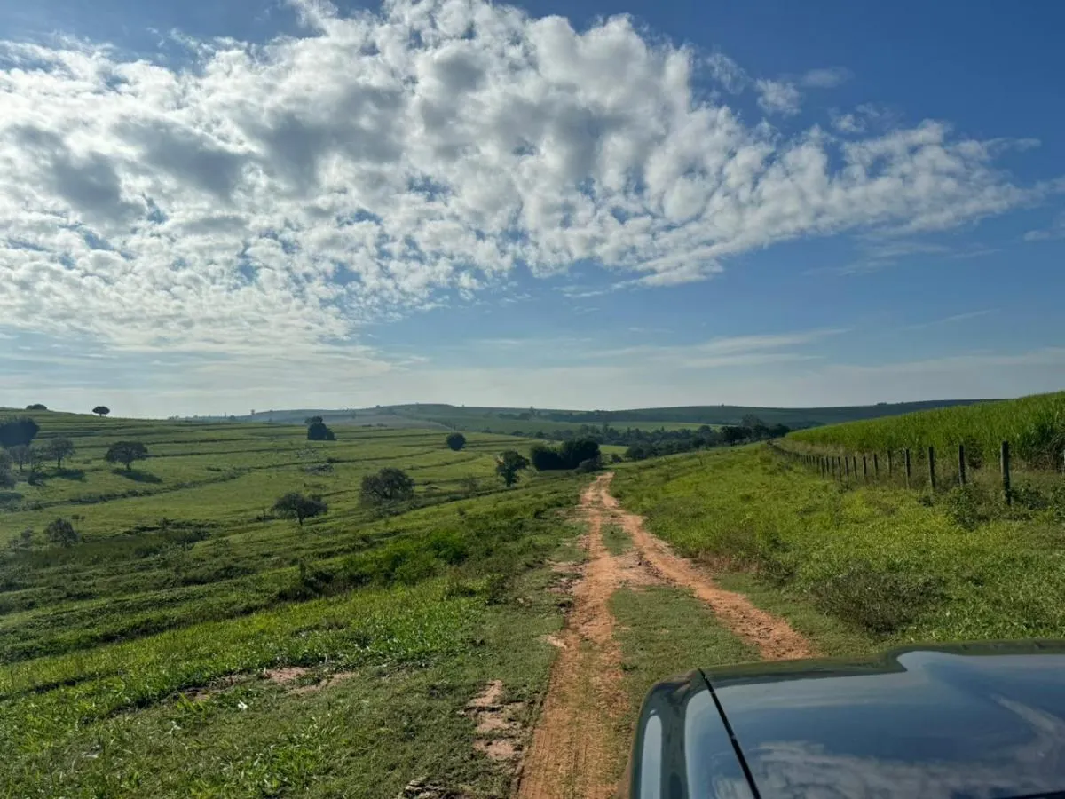 Fazenda à venda de 153 ha em Borebi, SP, Brasil