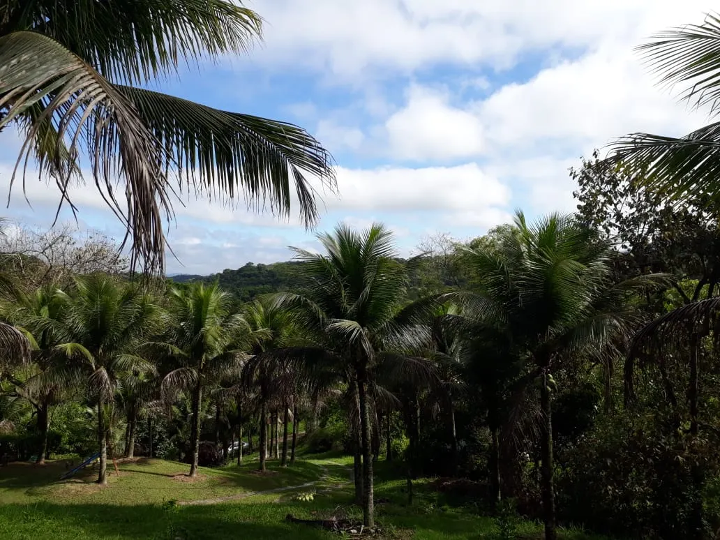 Small farm for sale of 6 acres in Cachoeiras de Macacu, RJ, Brazil