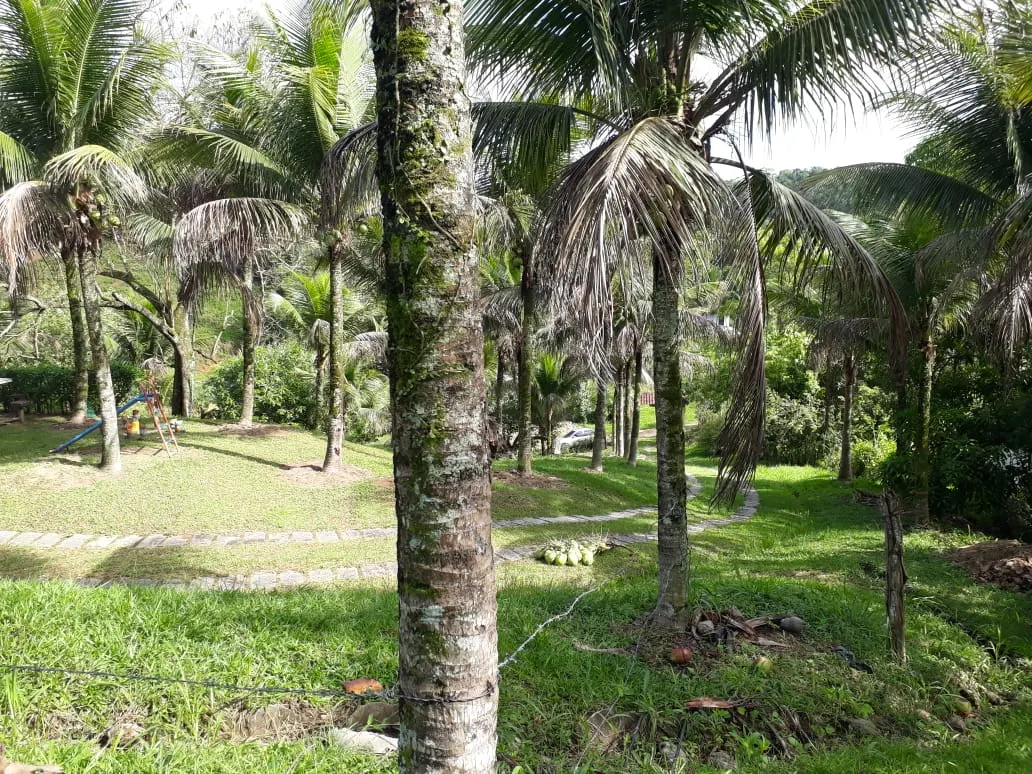 Small farm for sale of 6 acres in Cachoeiras de Macacu, RJ, Brazil