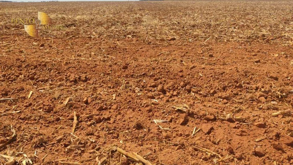 Fazenda à venda de 5.000 ha em Campo Novo do Parecis, MT, Brasil